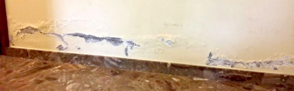  A symptom of rising damp is usually chipping paint on the walls